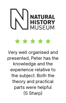Testimonial -national-history-museum