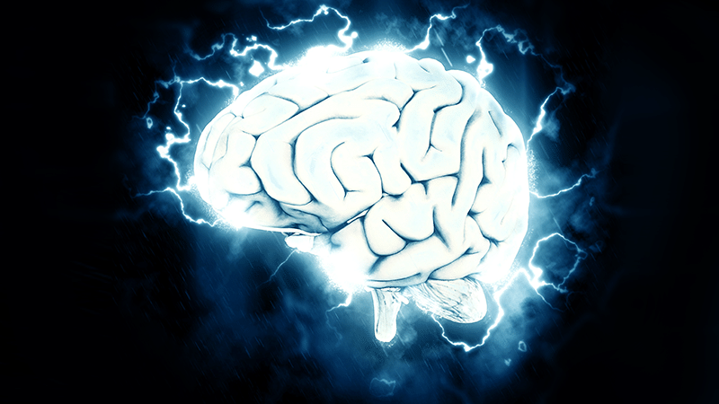 Introduction to Emotional Intelligence